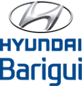 Hyundai Barigüi