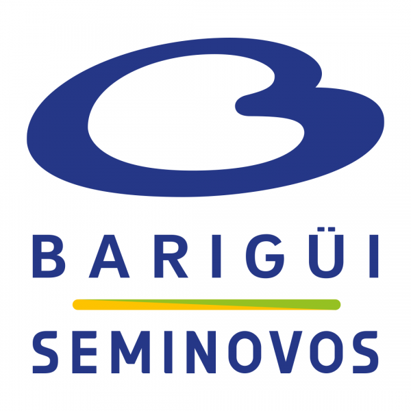 Barigui Seminovos